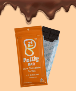 psilly mushroom chocolate