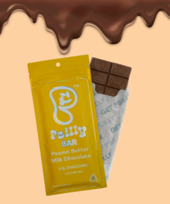 psilly mushroom chocolate